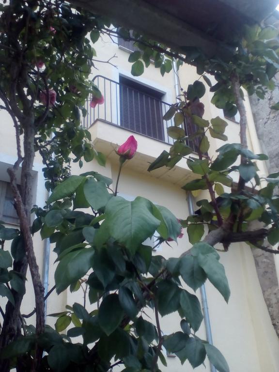 Casa Cardelina Landhaus *